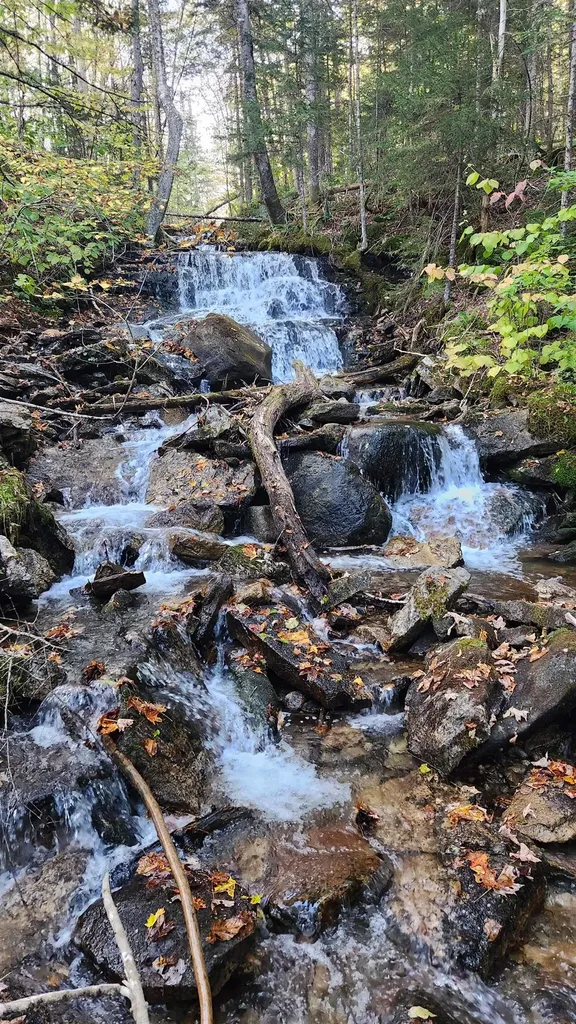 On Arcadia Lane Westmore VT 05860