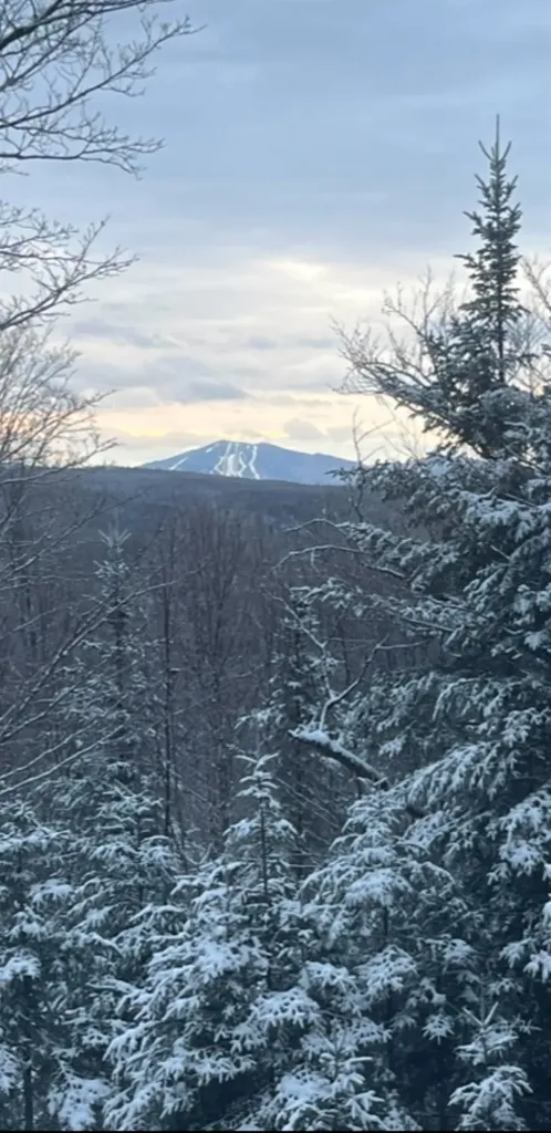 On Arcadia Lane Westmore VT 05860