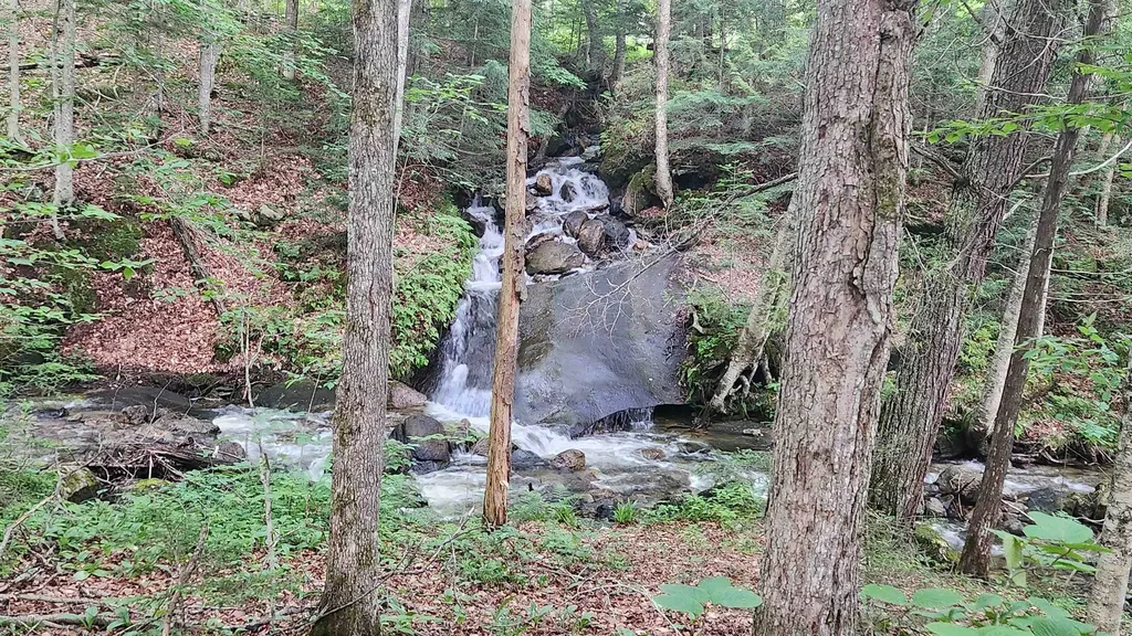 On Arcadia Lane Westmore VT 05860