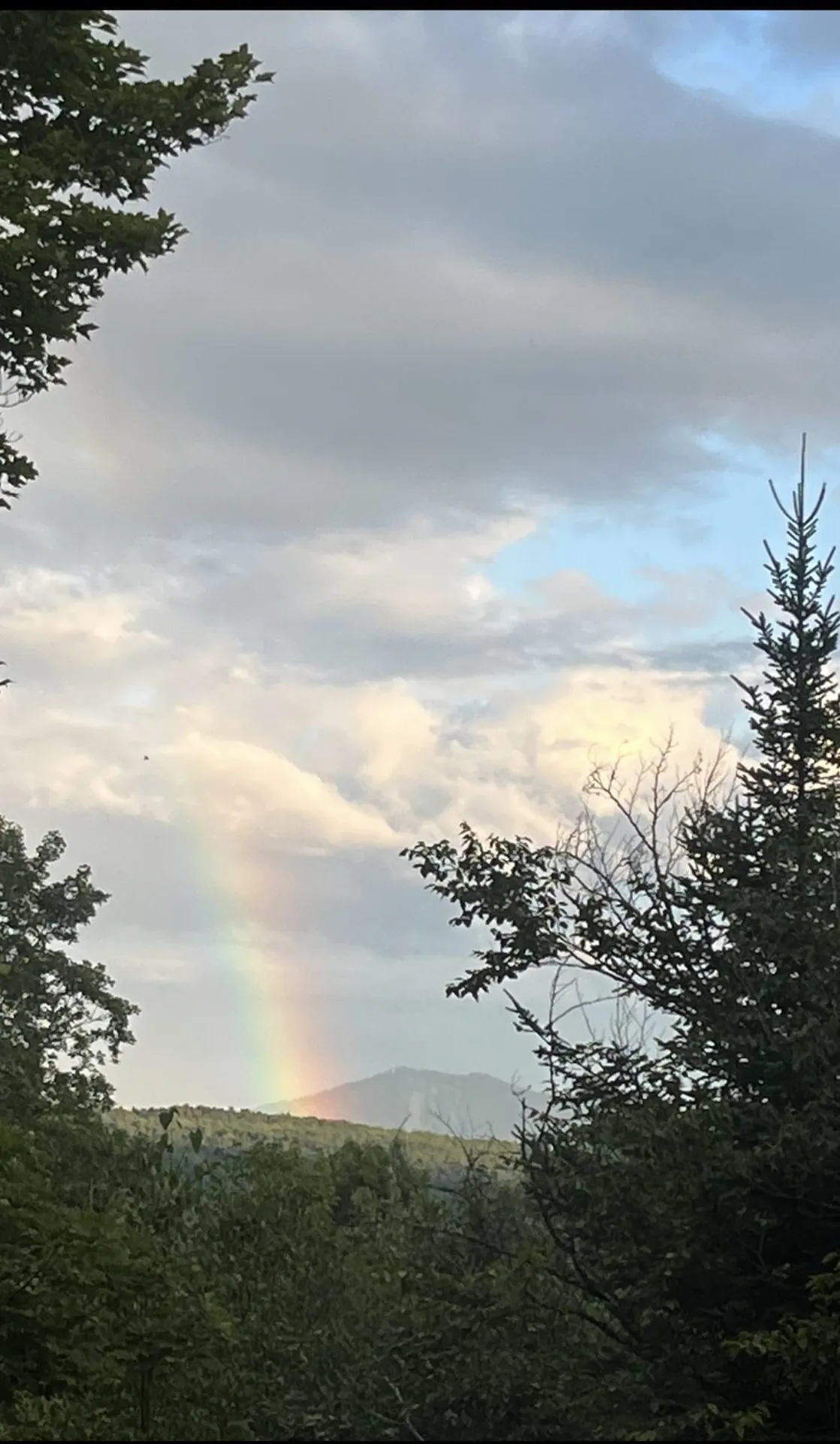 On Arcadia Lane Westmore VT 05860