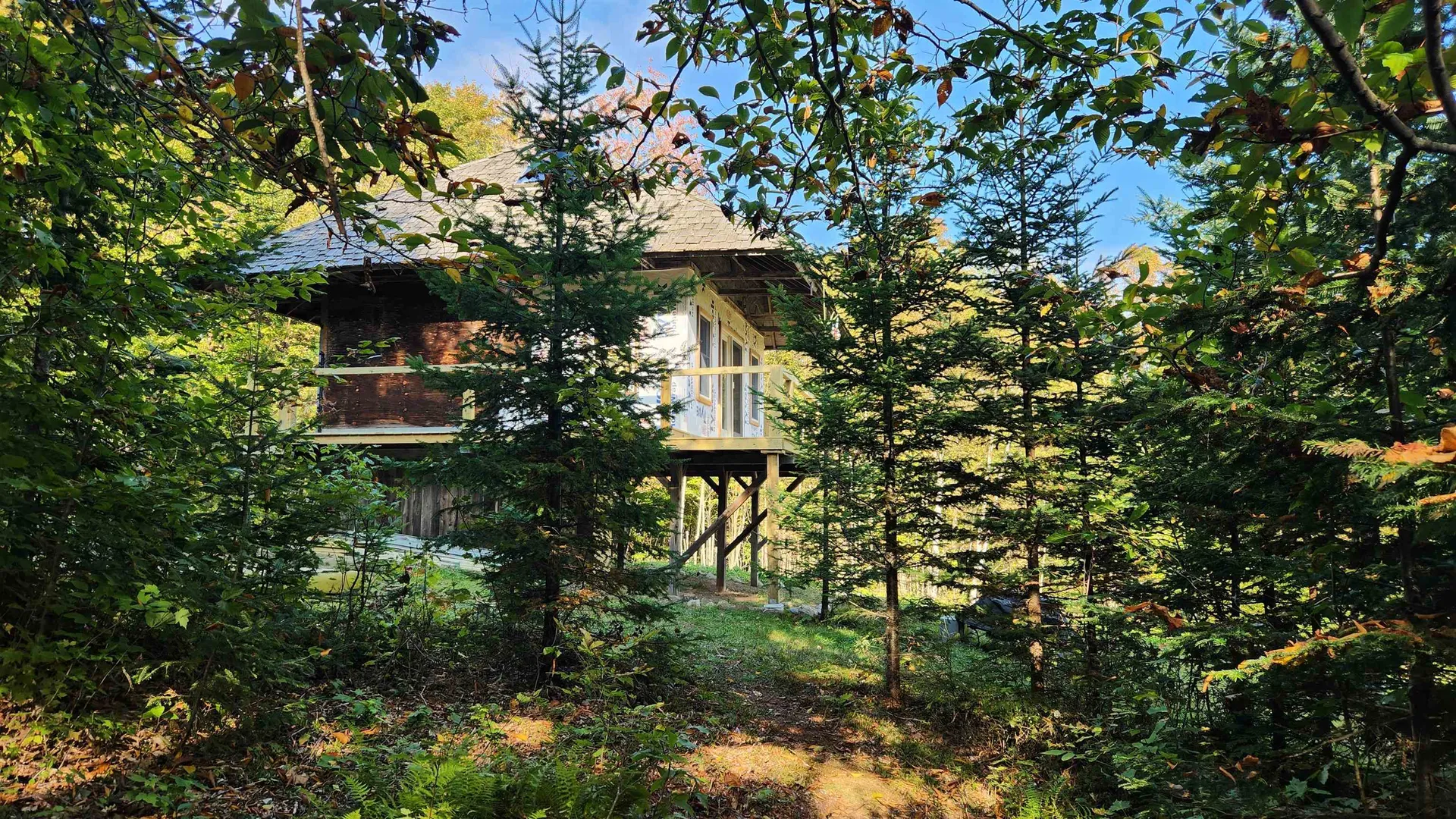 On Arcadia Lane Westmore VT 05860