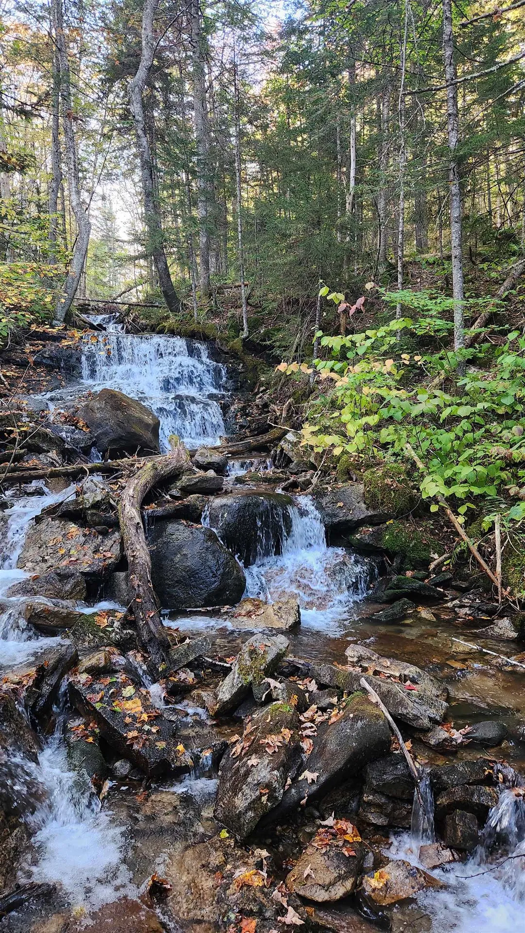 On Arcadia Lane Westmore VT 05860