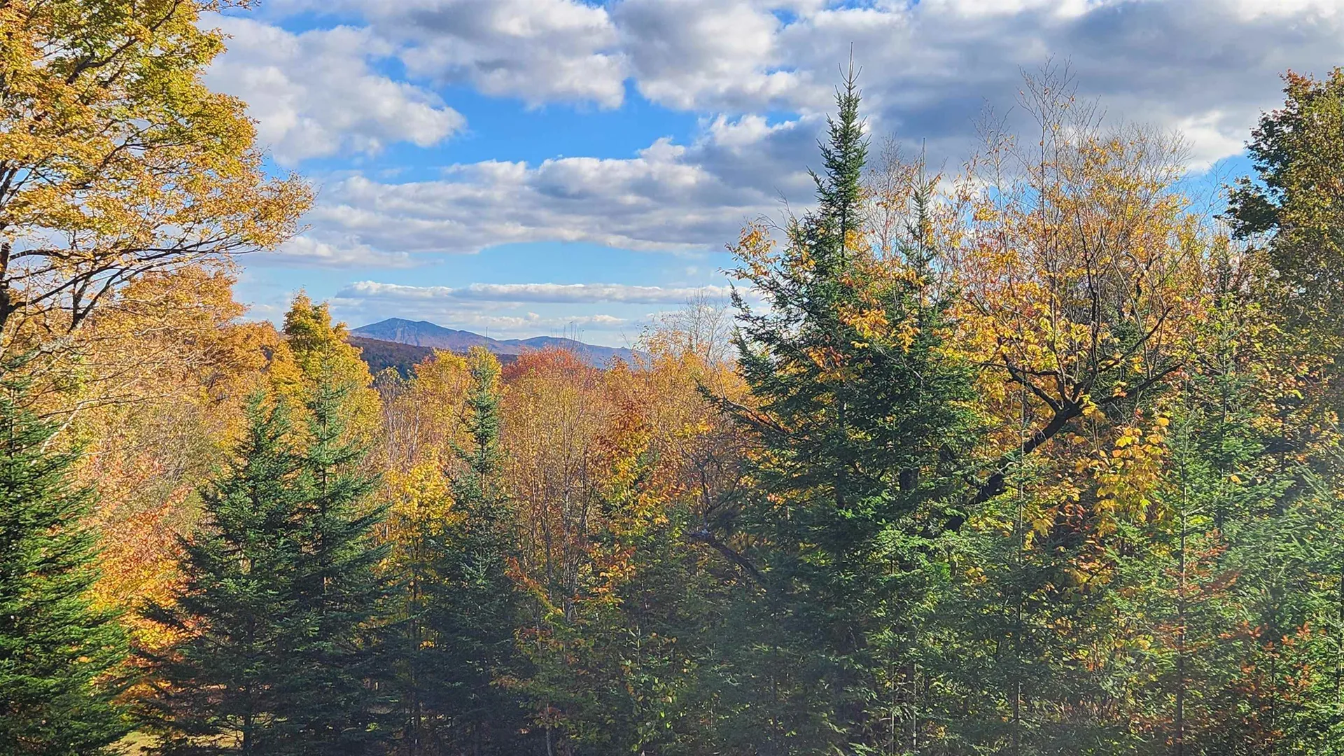 On Arcadia Lane Westmore VT 05860