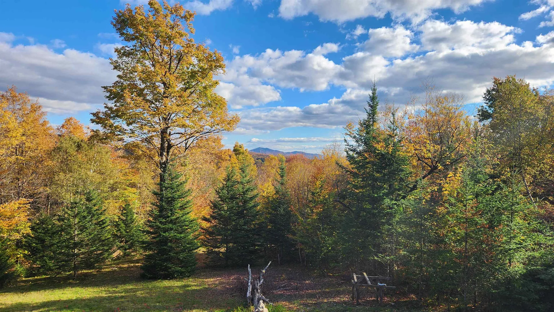 On Arcadia Lane Westmore VT 05860