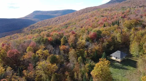 On Arcadia Lane Westmore VT 05860