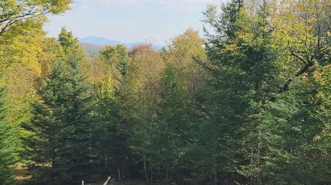 On Arcadia Lane Westmore VT 05860