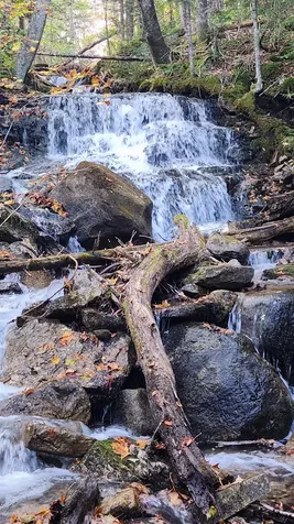 On Arcadia Lane Westmore VT 05860