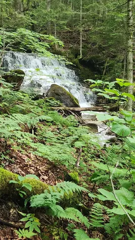 On Arcadia Lane Westmore VT 05860