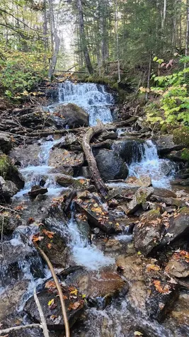 On Arcadia Lane Westmore VT 05860