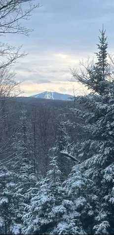 On Arcadia Lane Westmore VT 05860