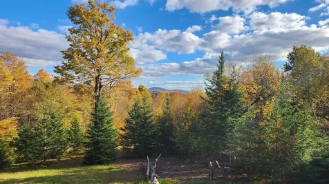 On Arcadia Lane Westmore VT 05860