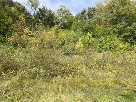 1094 Jones Brook Road Moretown VT 05660