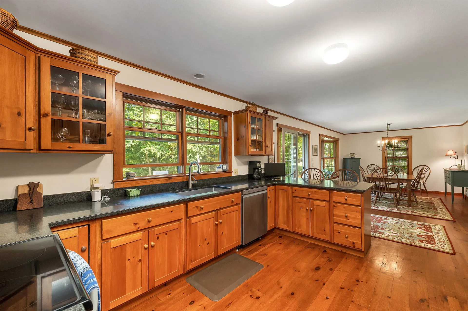 19 Greenleaf Drive Wolfeboro NH 03894