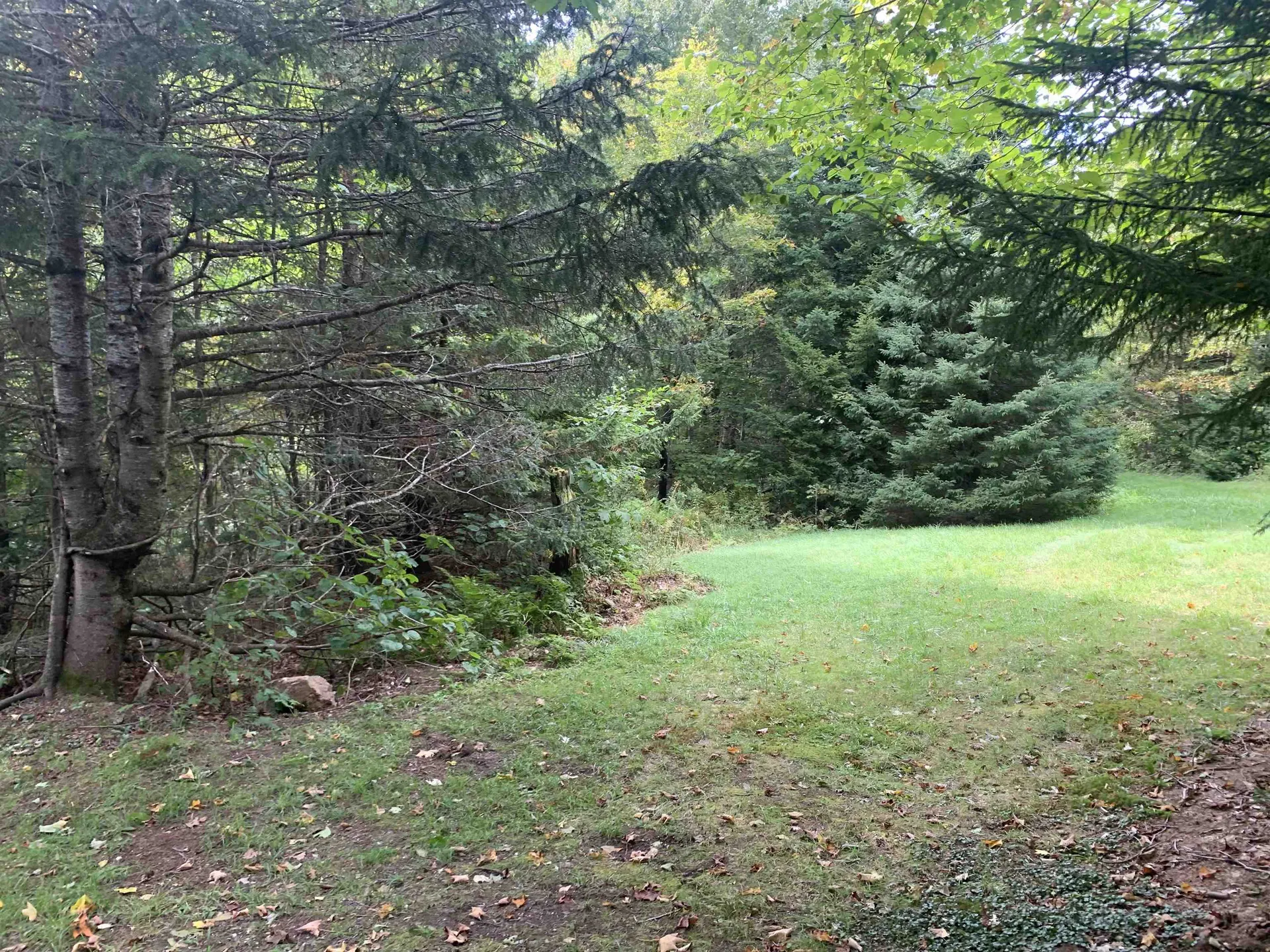 00 Bog Branch Road Clarksville NH 03592