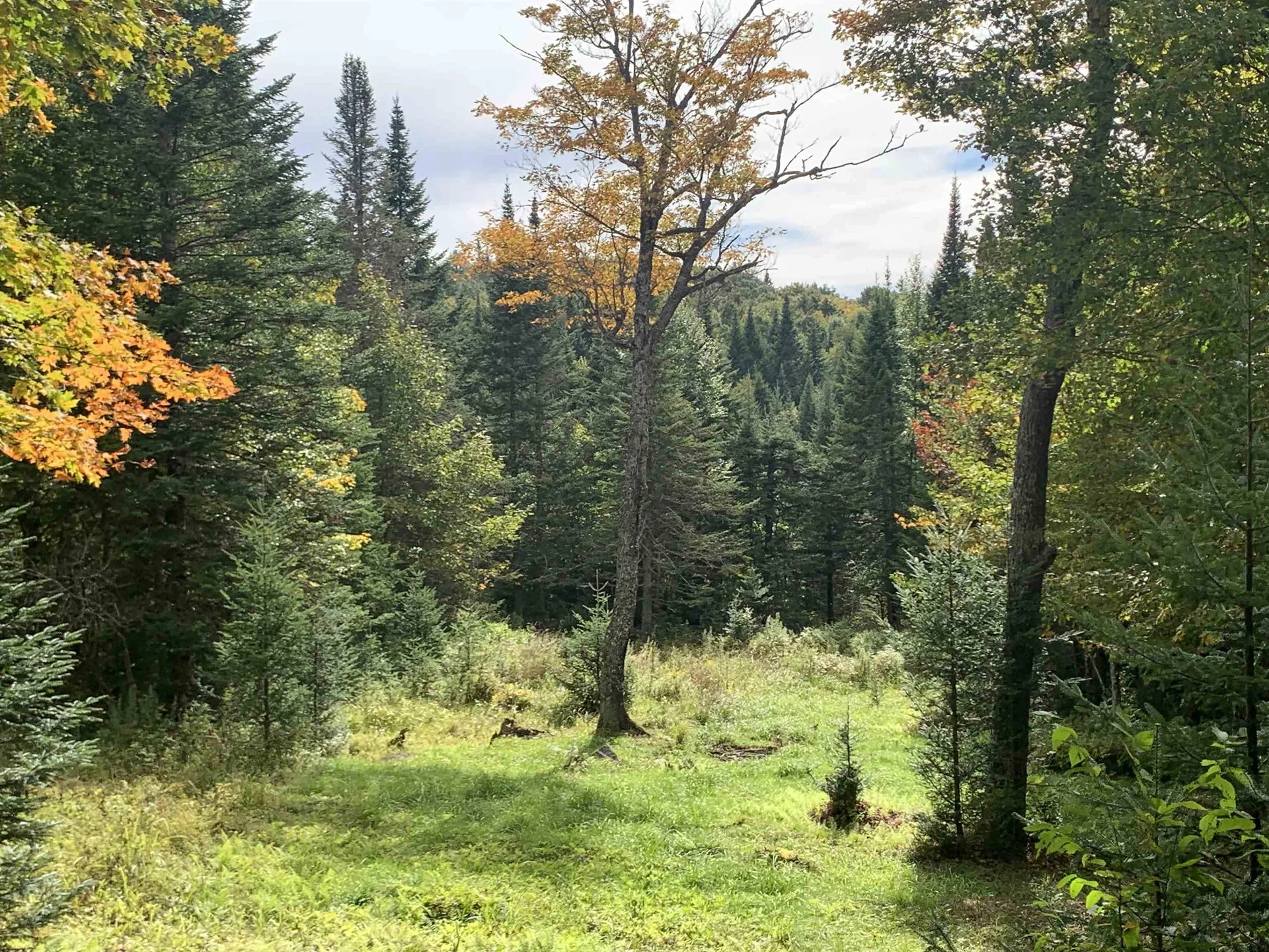 00 Bog Branch Road Clarksville NH 03592