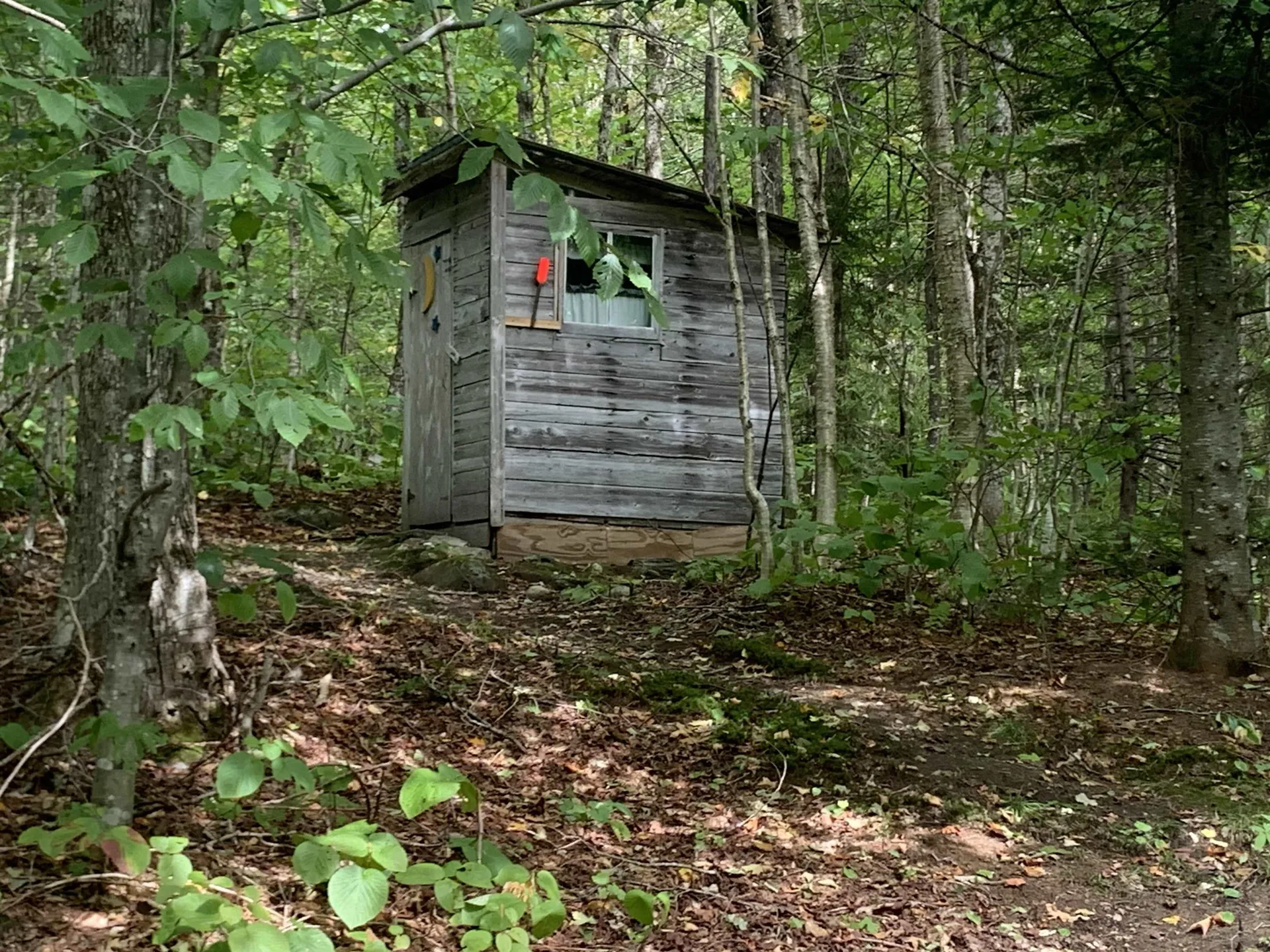 00 Bog Branch Road Clarksville NH 03592