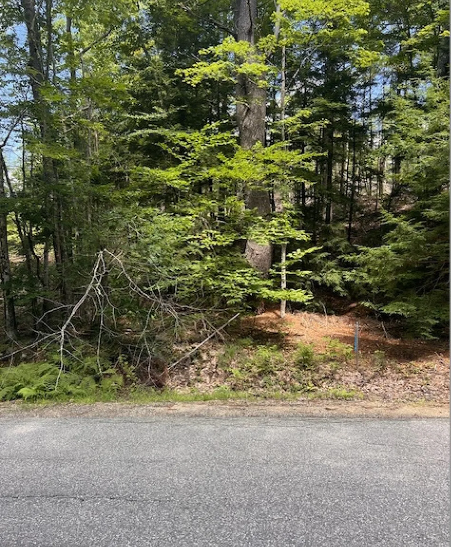 Map 1 Lot 18-7 Province Road Strafford NH 03884