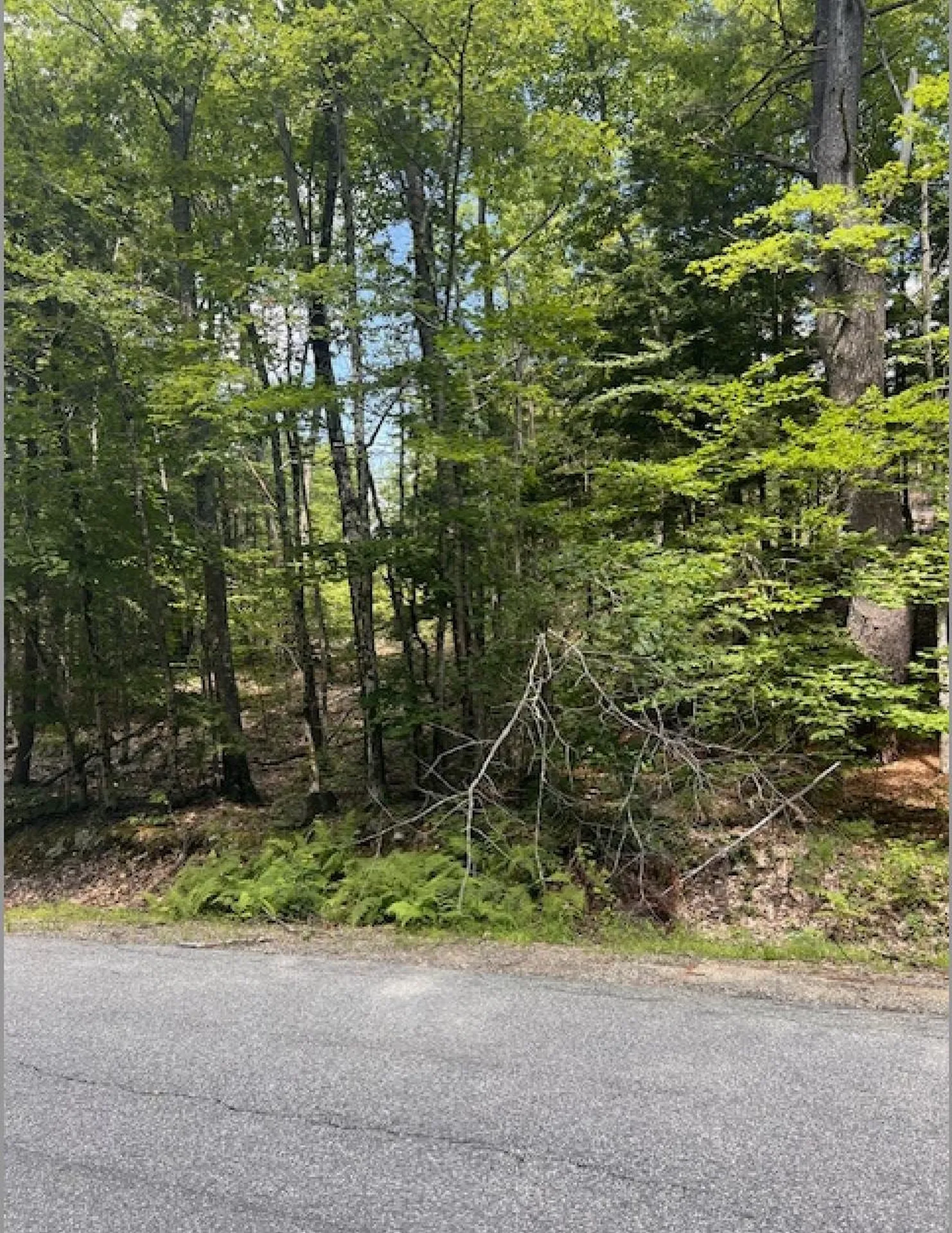 Map 1 Lot 18-7 Province Road Strafford NH 03884