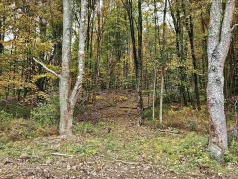 333 Creek Road Wallingford VT 05773