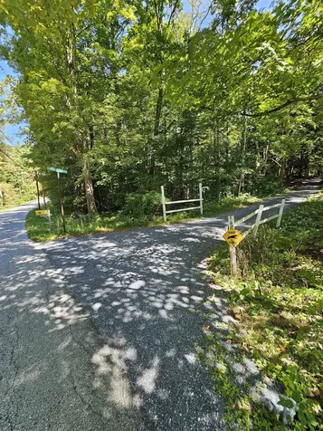 49 Hemlock Hill Road Sunderland VT 05250