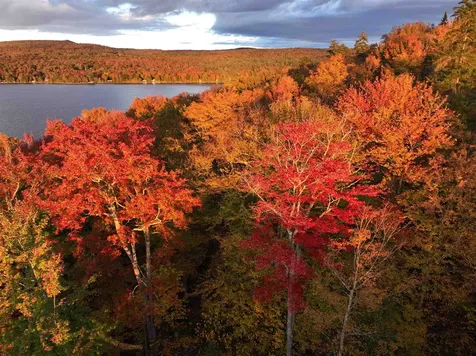 670 Wayeeses Shore Morgan VT 05853