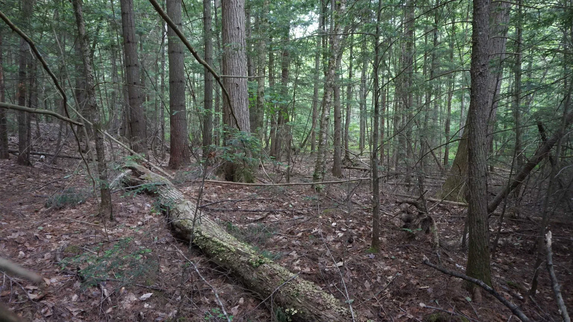 00 Hanover Drive Haverhill NH 03785