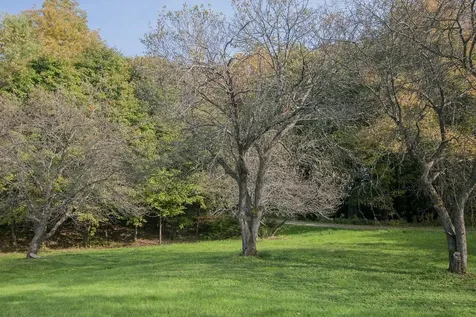 867 Foxwood Lane Derby VT 05829