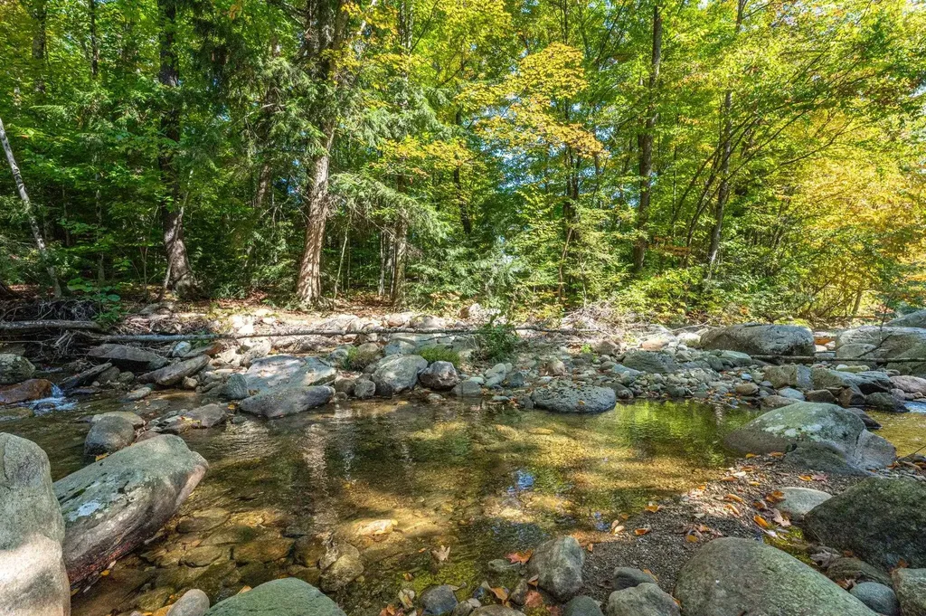 20 Newell Hill Wardsboro VT 05360