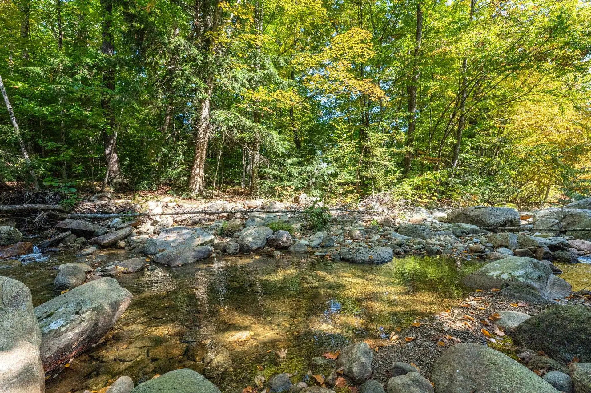 20 Newell Hill Wardsboro VT 05360