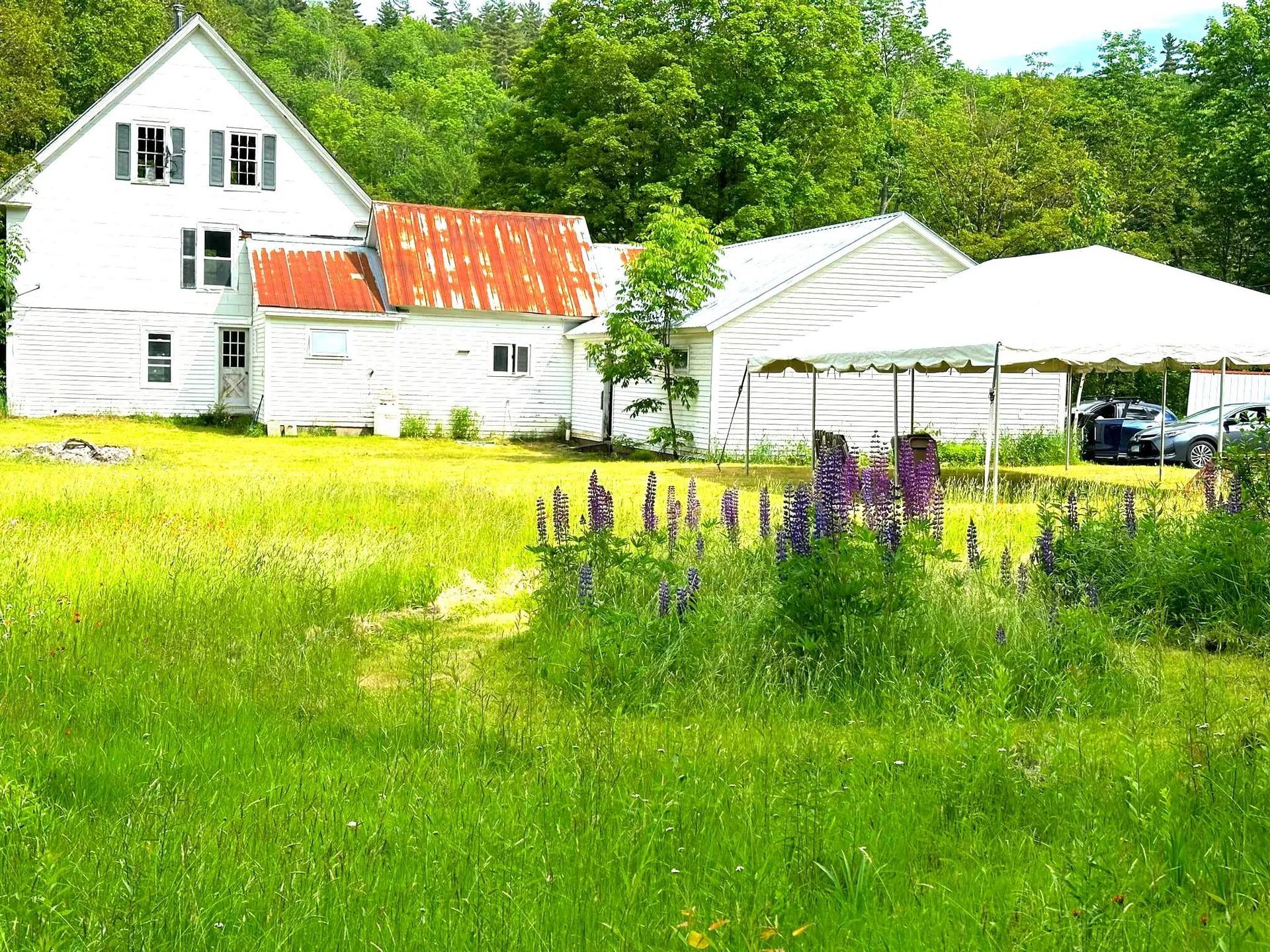 20 Newell Hill Wardsboro VT 05360