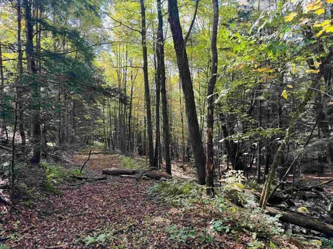 1299 Mathewson Hill Road Lyndon VT 05851