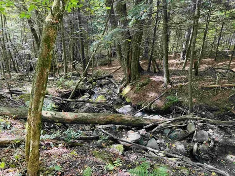 1299 Mathewson Hill Road Lyndon VT 05851