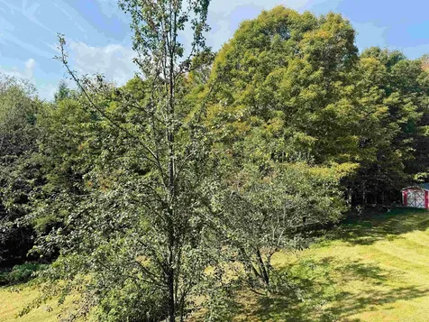 1299 Mathewson Hill Road Lyndon VT 05851