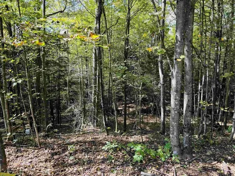 1299 Mathewson Hill Road Lyndon VT 05851