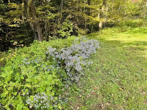 1299 Mathewson Hill Road Lyndon VT 05851