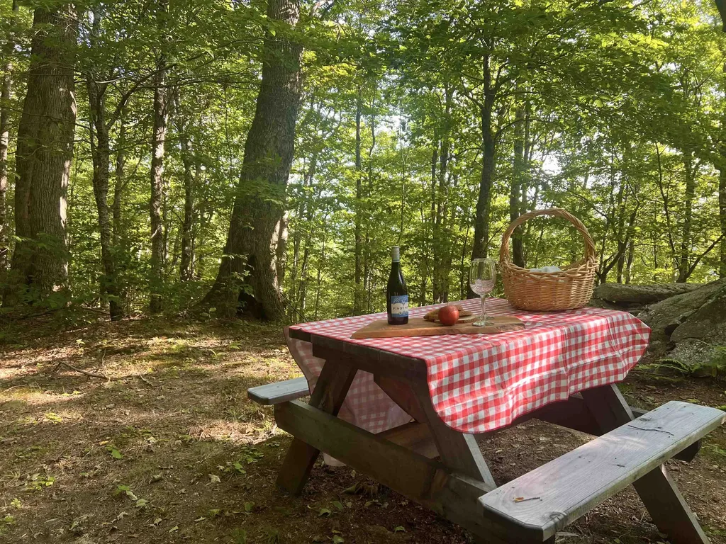 3800 Weston Andover Road Andover VT 05143