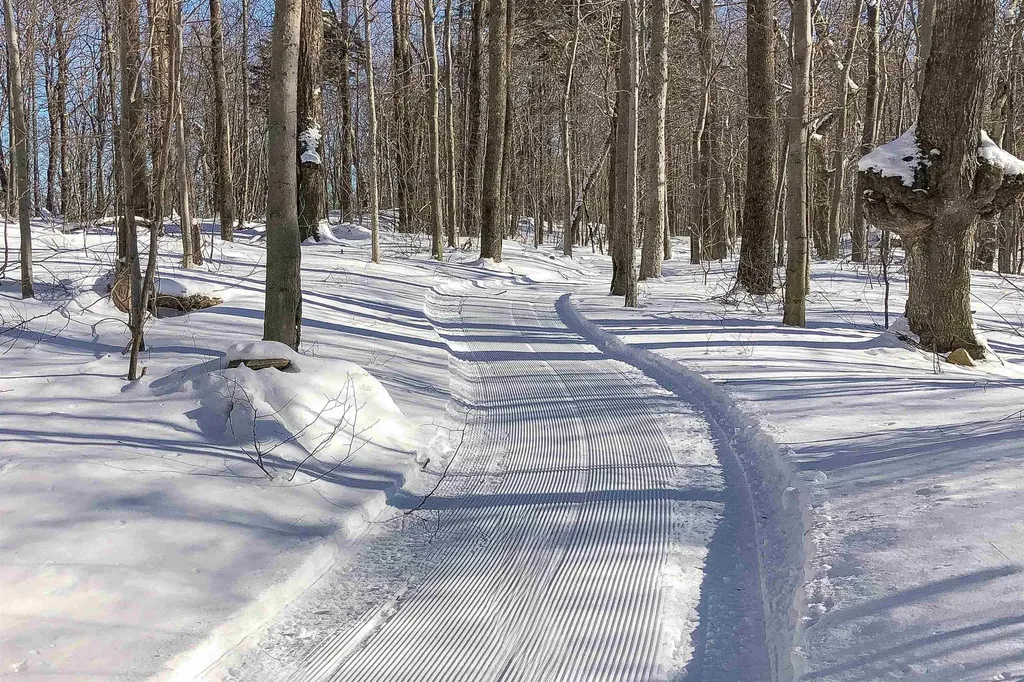 3800 Weston Andover Road Andover VT 05143