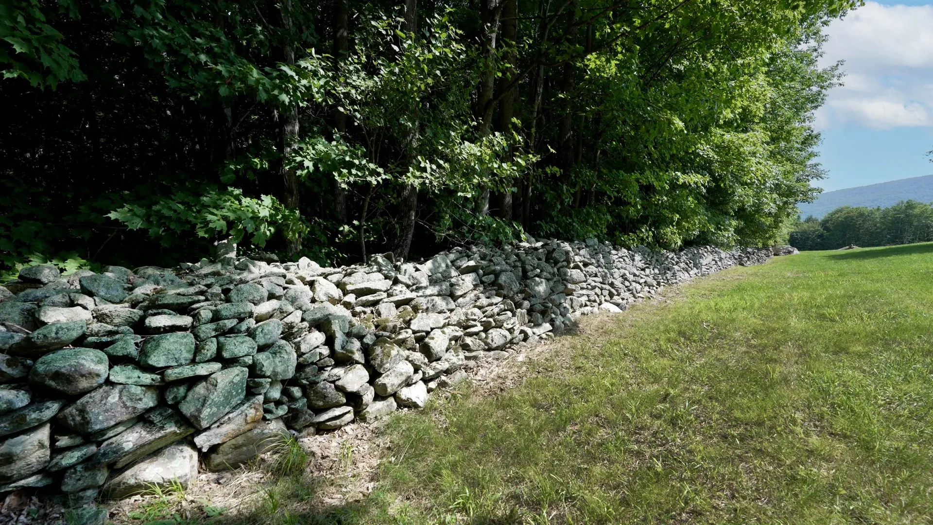 3800 Weston Andover Road Andover VT 05143