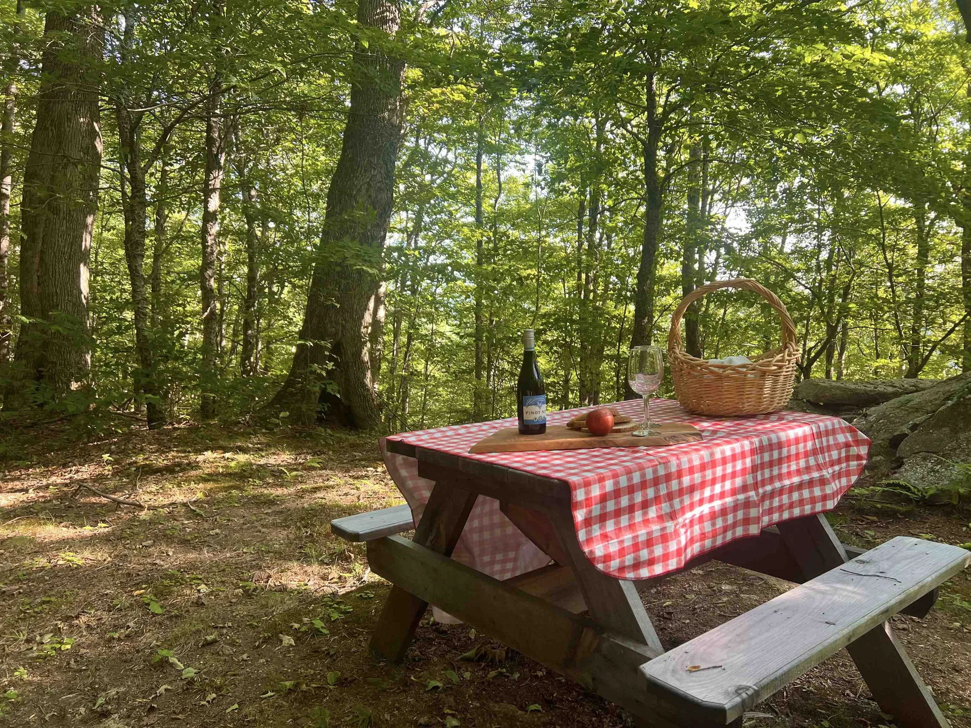 3800 Weston Andover Road Andover VT 05143