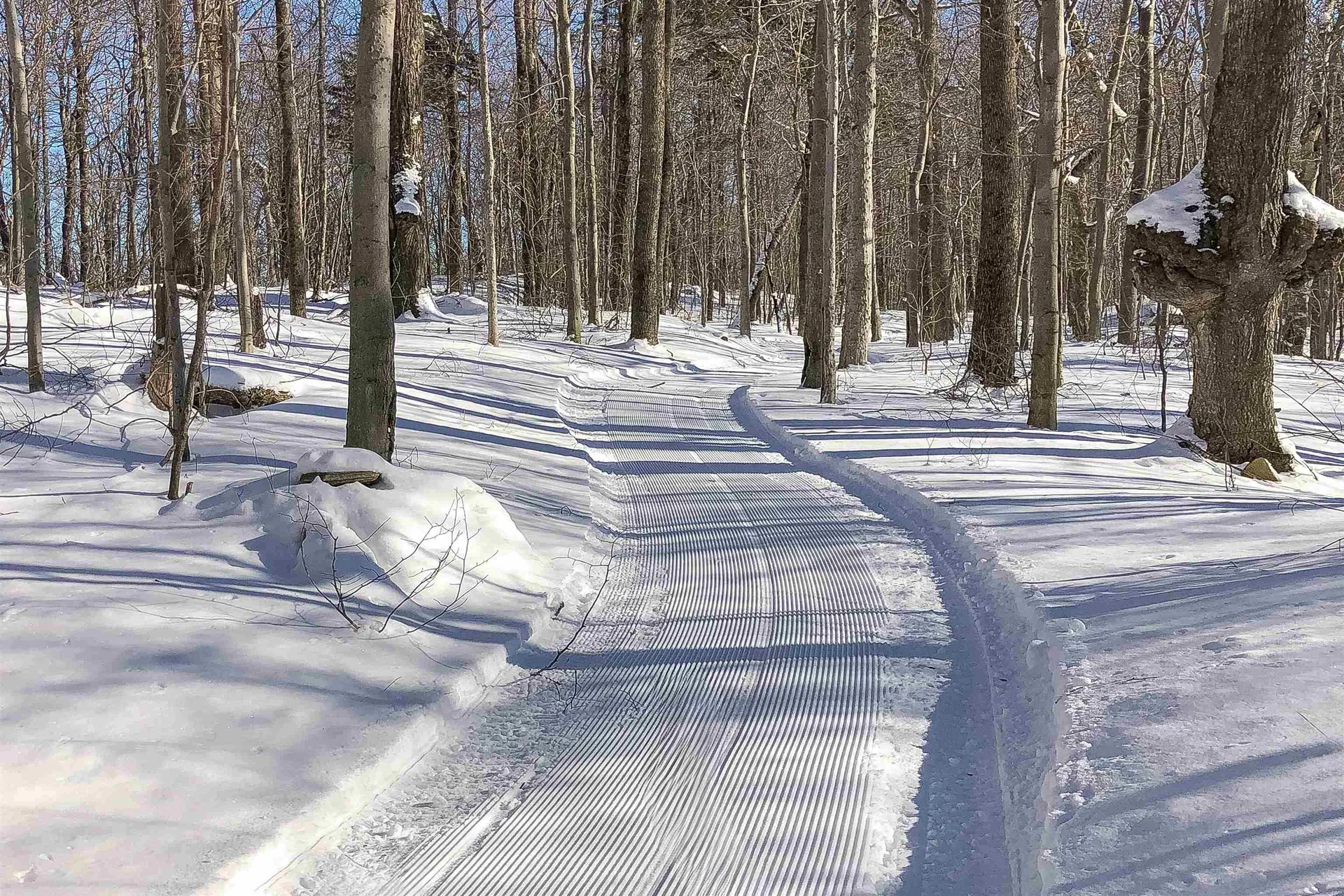 3800 Weston Andover Road Andover VT 05143