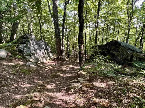 3800 Weston Andover Road Andover VT 05143