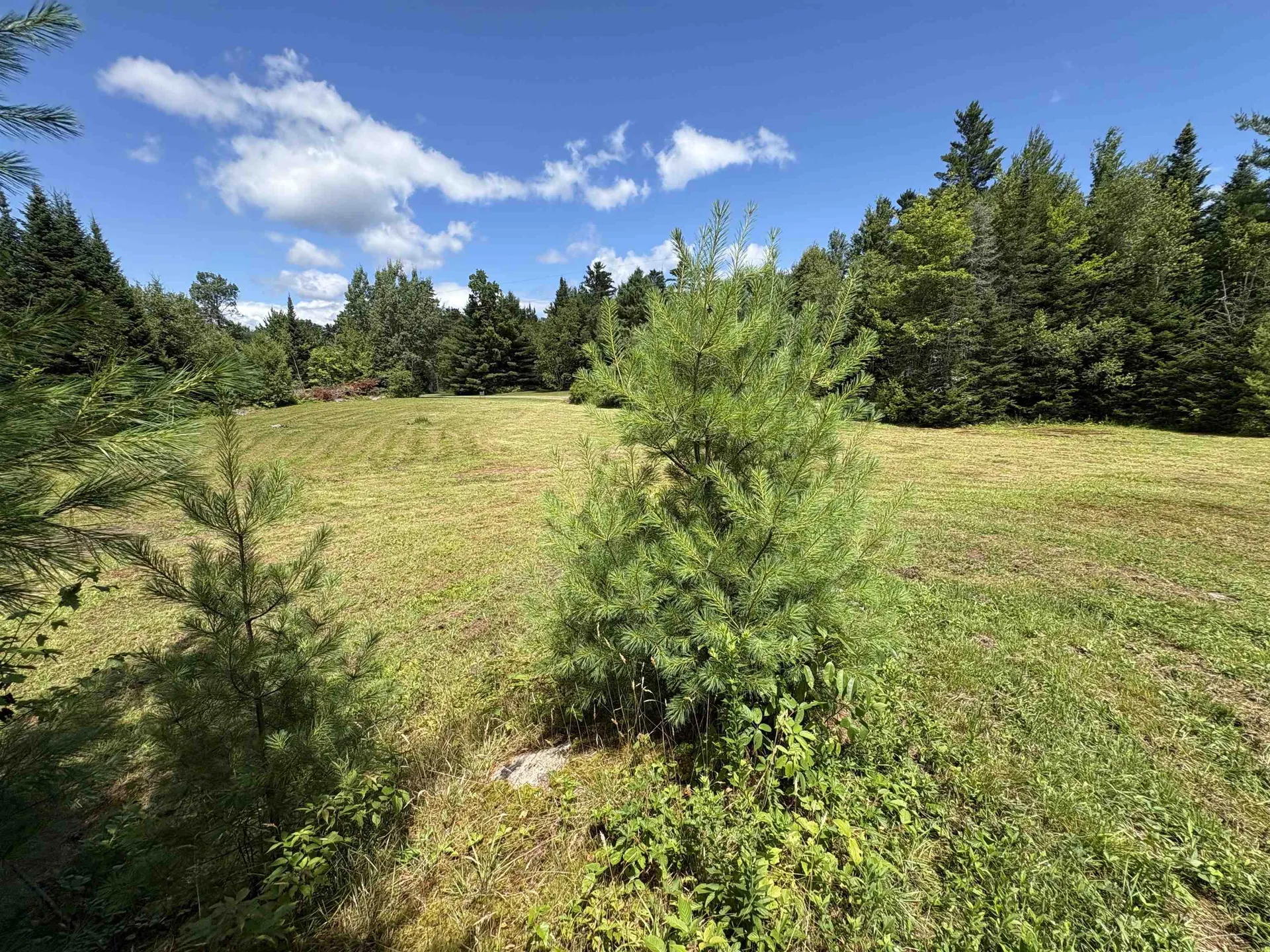 4366 Vt Route 100 Hyde Park VT 05655