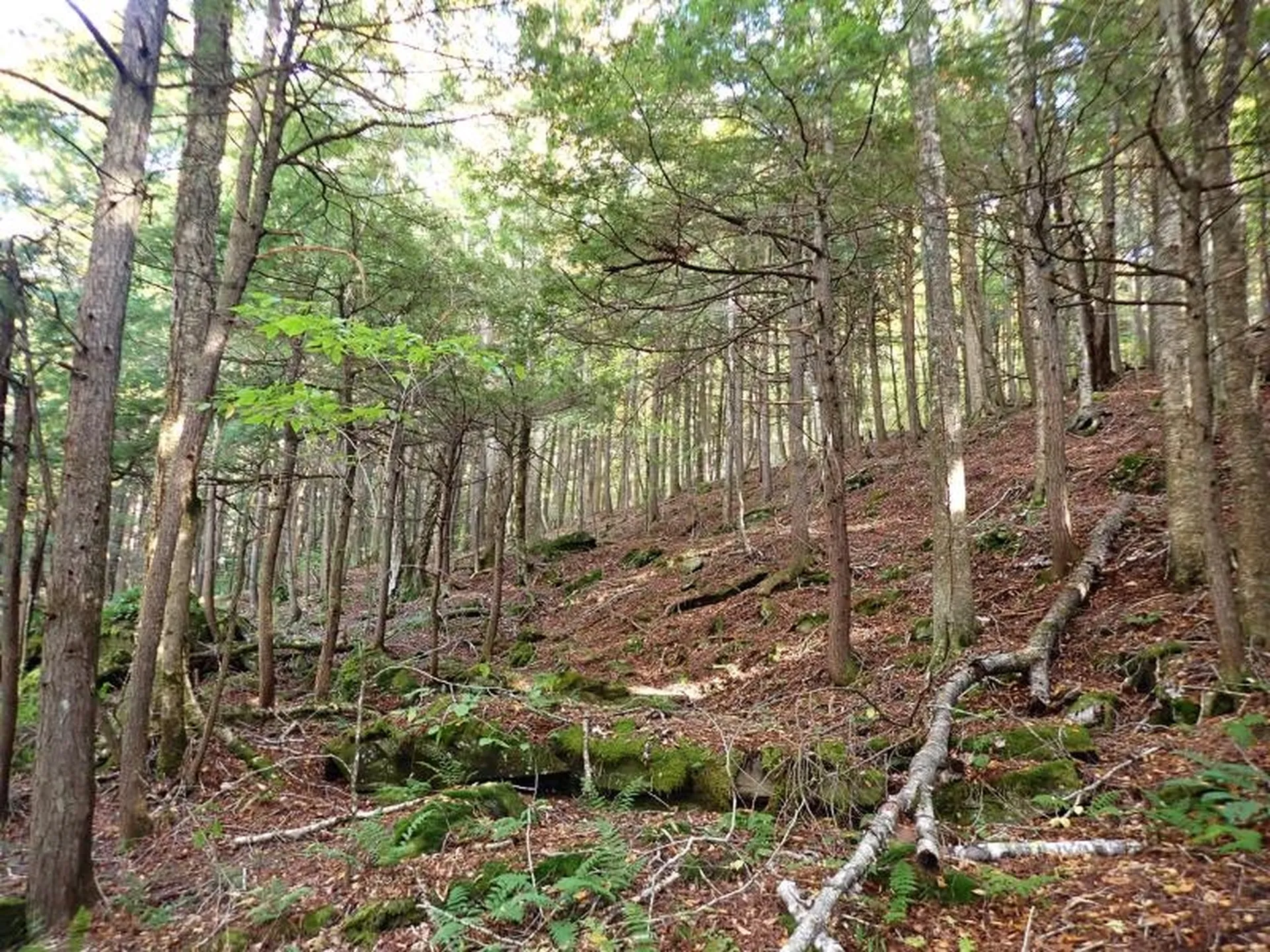 New Boston Road Thetford VT 05075