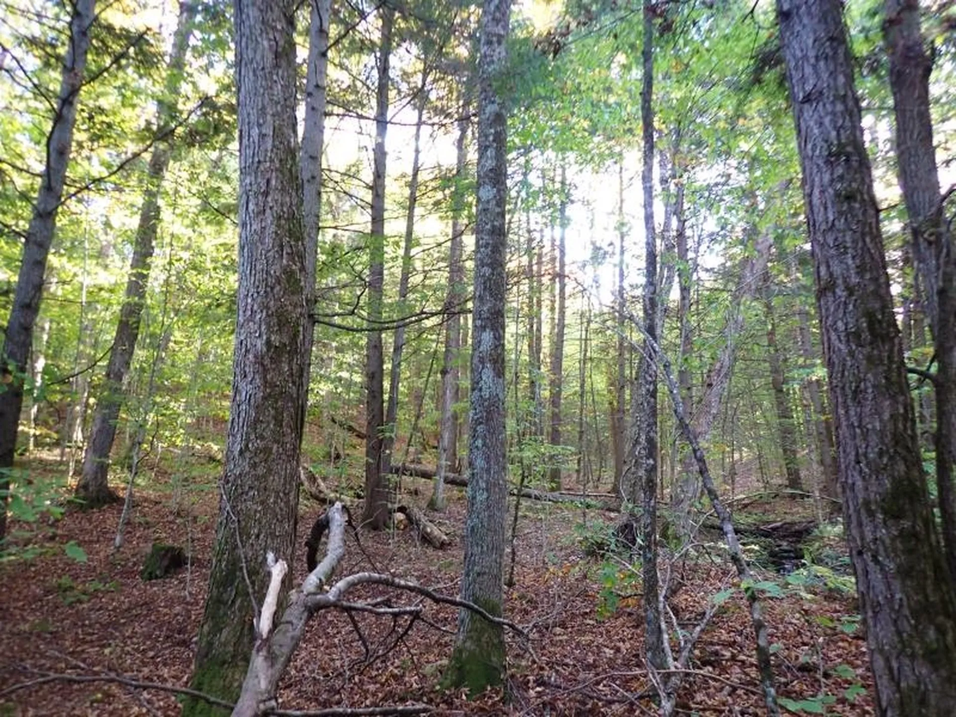 New Boston Road Thetford VT 05075