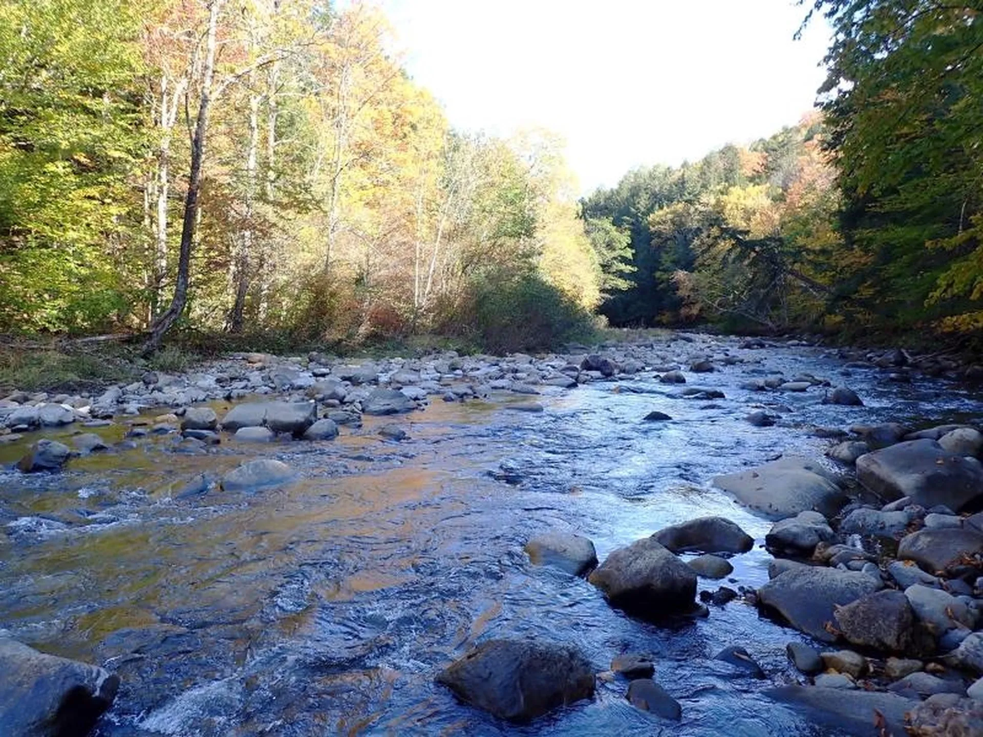 New Boston Road Thetford VT 05075