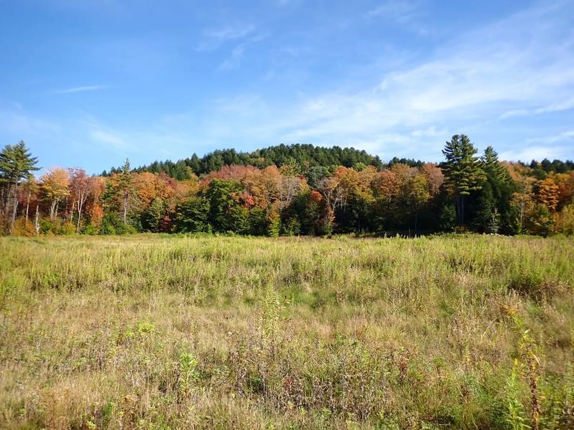 New Boston Road Thetford VT 05075