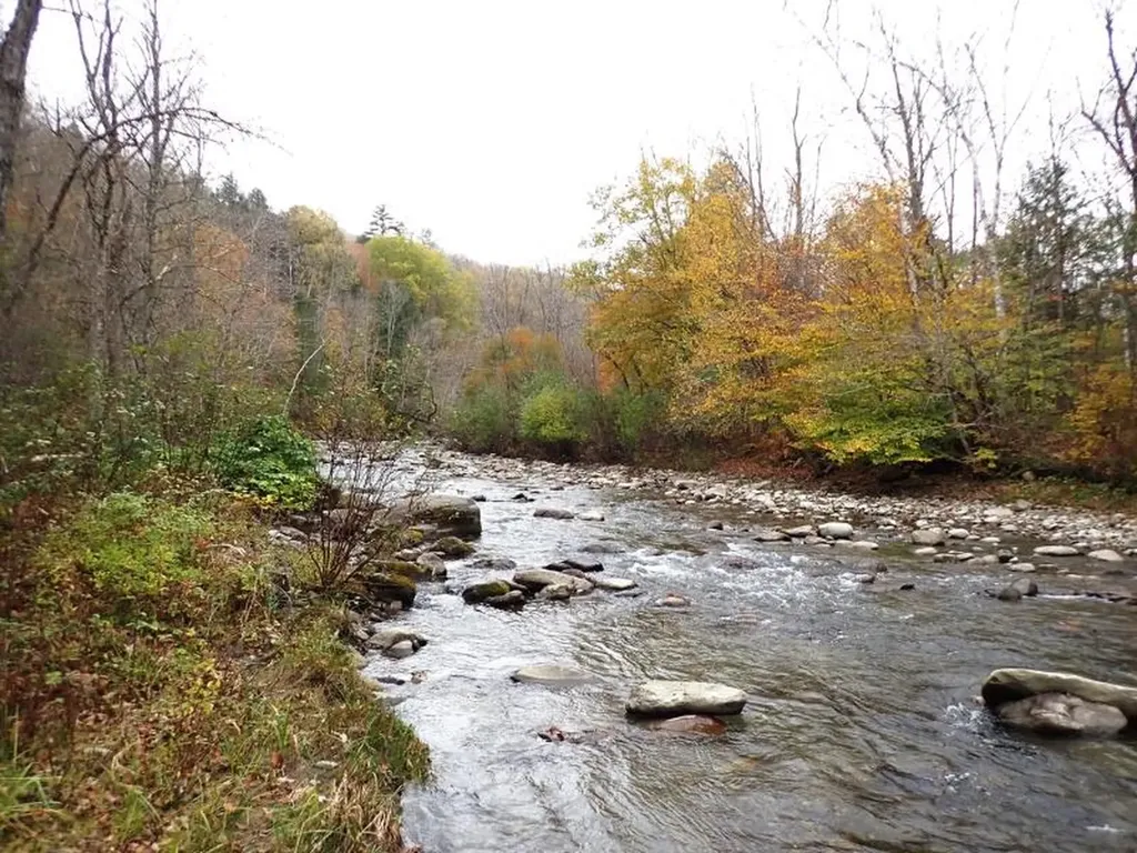 Mine Road Strafford VT 05070