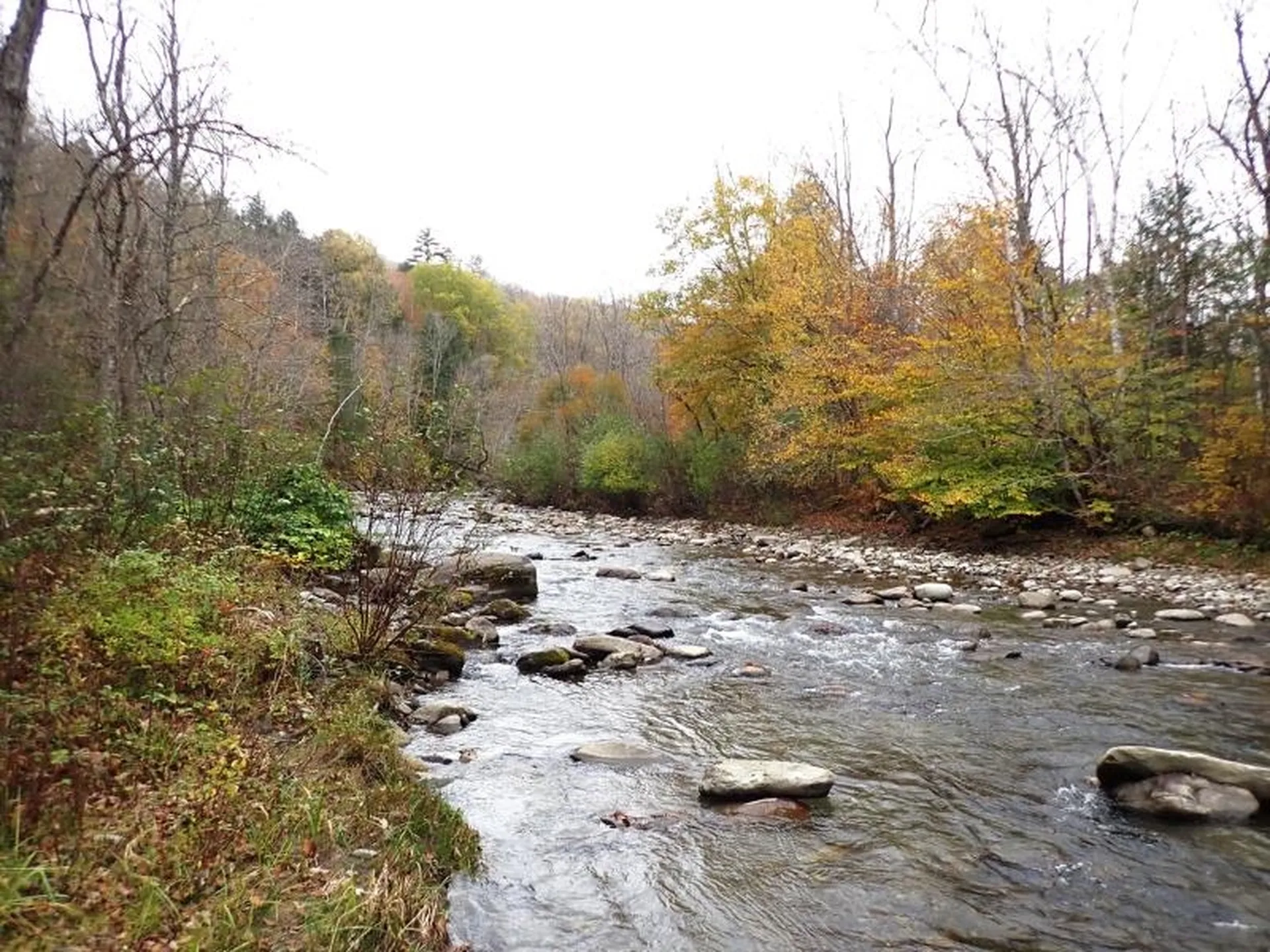 Mine Road Strafford VT 05070