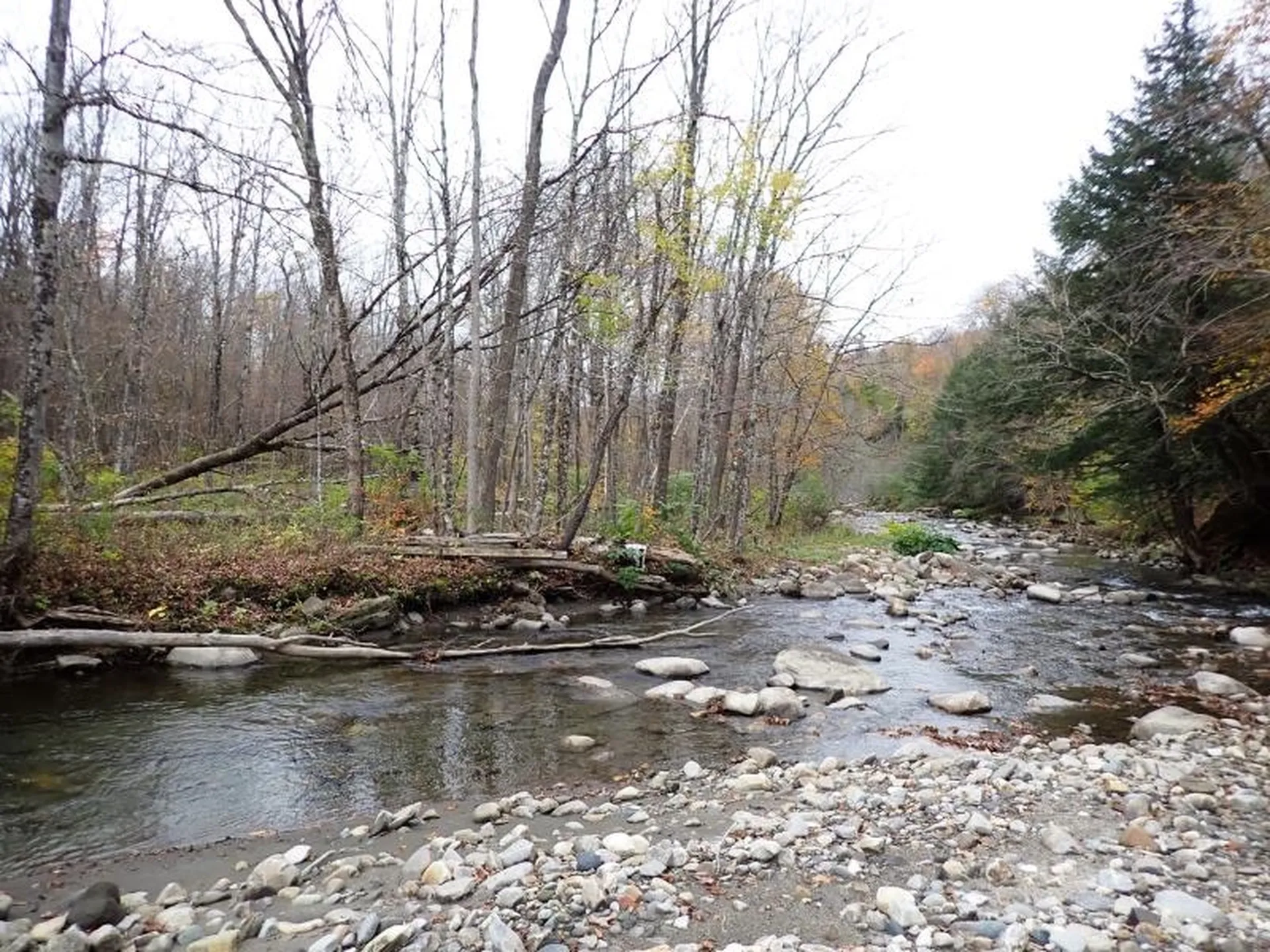Mine Road Strafford VT 05070