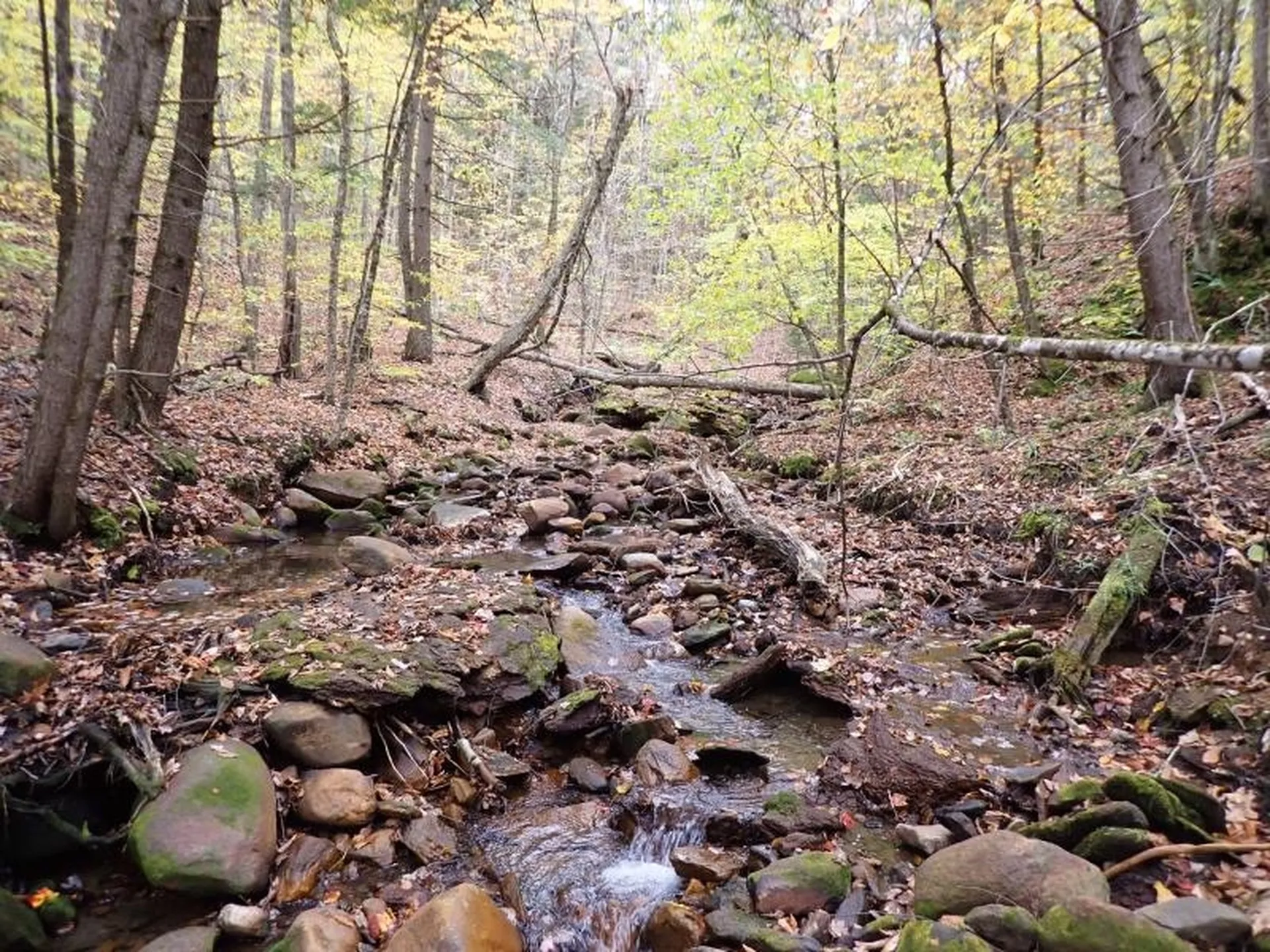 Mine Road Strafford VT 05070